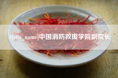 邯郸中国消防救援学院副院长