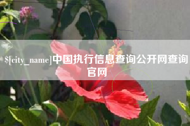 邯郸中国执行信息查询公开网查询官网
