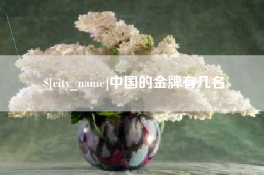 邯郸中国的金牌有几名