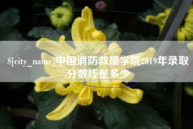 邯郸中国消防救援学院2019年录取分数线是多少
