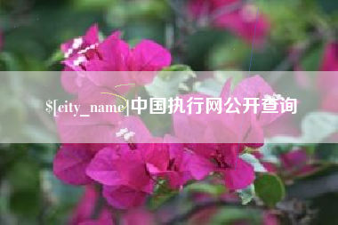 邯郸中国执行网公开查询
