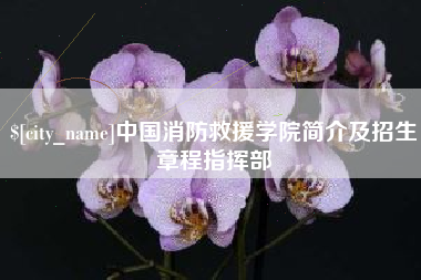 邯郸中国消防救援学院简介及招生章程指挥部