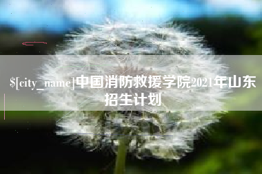 邯郸中国消防救援学院2021年山东招生计划