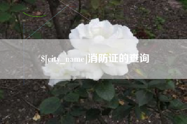 邯郸消防证的查询