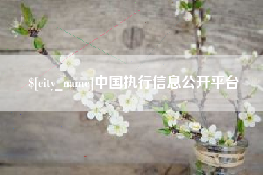 邯郸中国执行信息公开平台