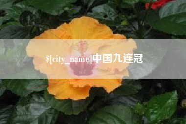 邯郸中国九连冠