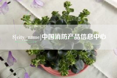 邯郸中国消防产品信息中心