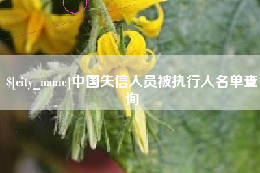 邯郸中国失信人员被执行人名单查询