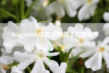 邯郸中国金牌得了几枚金牌