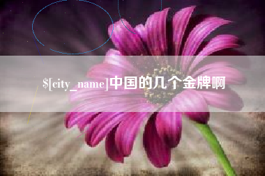 邯郸中国的几个金牌啊