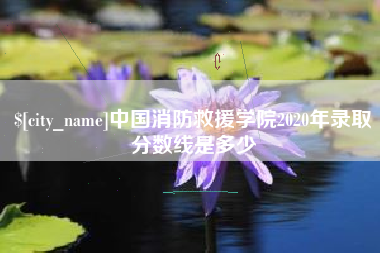 邯郸中国消防救援学院2020年录取分数线是多少