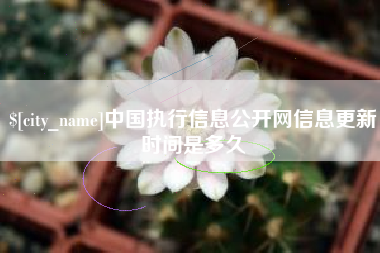 邯郸中国执行信息公开网信息更新时间是多久