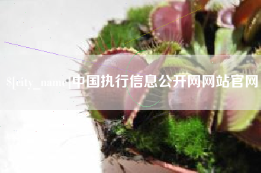 邯郸中国执行信息公开网网站官网