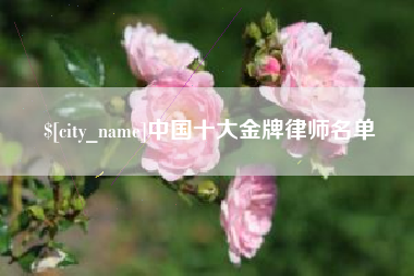邯郸中国十大金牌律师名单