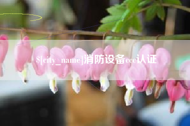 邯郸消防设备ccc认证