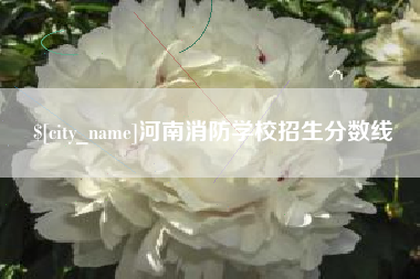 邯郸河南消防学校招生分数线