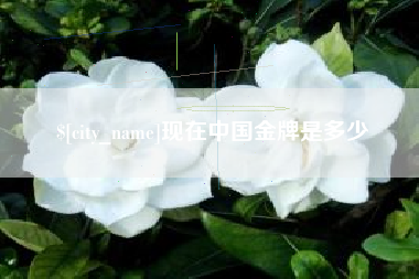 邯郸现在中国金牌是多少