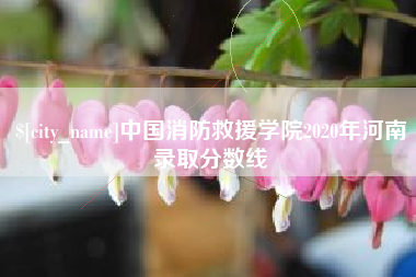 邯郸中国消防救援学院2020年河南录取分数线