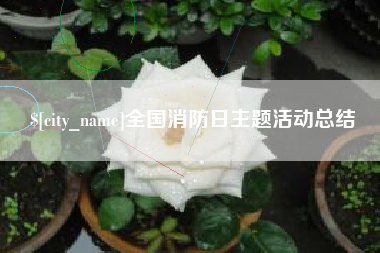 邯郸全国消防日主题活动总结
