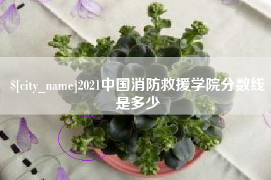 邯郸2021中国消防救援学院分数线是多少