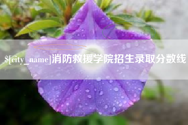 邯郸消防救援学院招生录取分数线