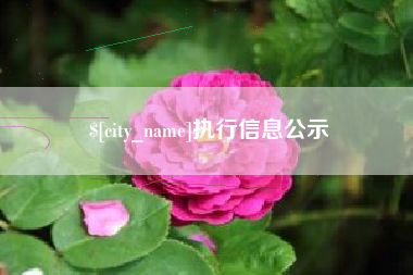 邯郸执行信息公示