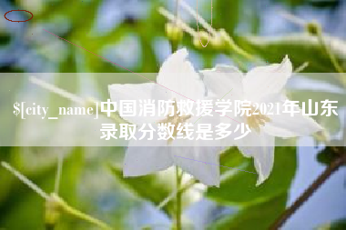 邯郸中国消防救援学院2021年山东录取分数线是多少