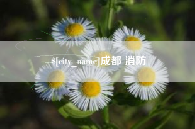 邯郸成都 消防