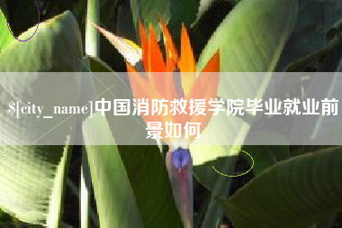 邯郸中国消防救援学院毕业就业前景如何