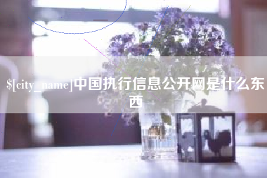 邯郸中国执行信息公开网是什么东西