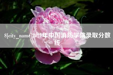 邯郸2021年中国消防学院录取分数线