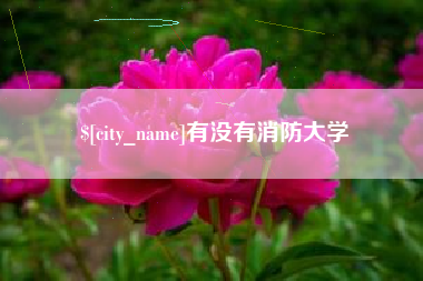 邯郸有没有消防大学