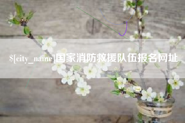 邯郸国家消防救援队伍报名网址