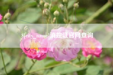 邯郸消控证官网查询
