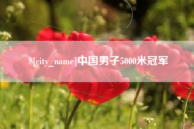 邯郸中国男子5000米冠军