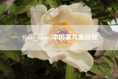 邯郸中国第九金回放