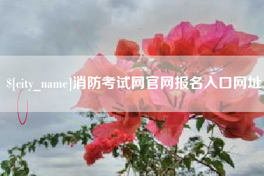 邯郸消防考试网官网报名入口网址