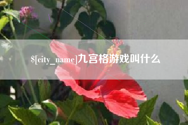 邯郸九宫格游戏叫什么