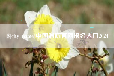 邯郸中国消防官网报名入口2024