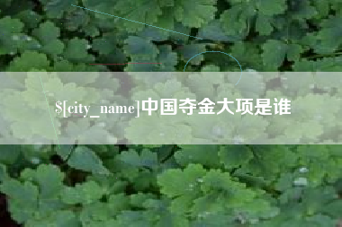 邯郸中国夺金大项是谁