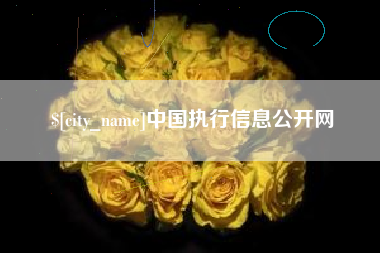 邯郸中国执行信息公开网