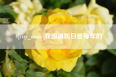 邯郸我国消防日是每年的