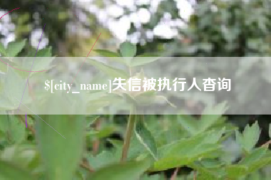 邯郸失信被执行人杳询