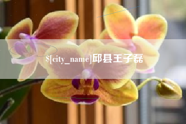 邯郸邱县王子磊