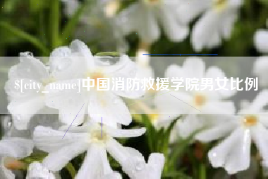 邯郸中国消防救援学院男女比例