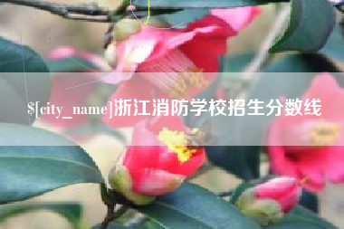 邯郸浙江消防学校招生分数线