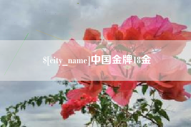 邯郸中国金牌18金