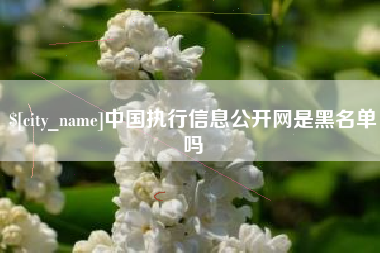 邯郸中国执行信息公开网是黑名单吗