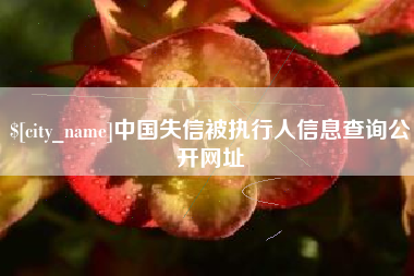 邯郸中国失信被执行人信息查询公开网址