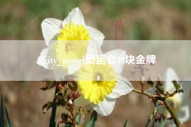 邯郸奥运会39块金牌